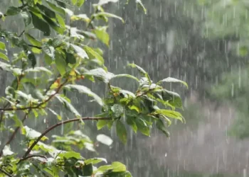 Pluies attendues sur le centre et le sud de la Tunisie