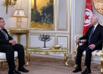 Fin de mandat de l'ambassadeur d'Égypte en Tunisie