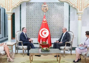 Mohamed Ali Nafti reçoit quatre ambassadeurs à Tunis