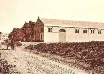 Nostalgies : Les vignobles de la Marsa
