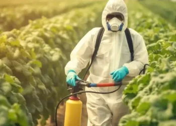 Tunisie : l'UTAP dénonce le manque de contrôle des pesticides