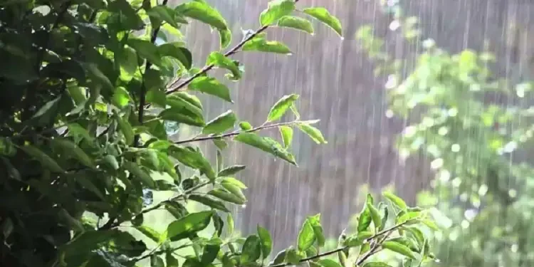 Tunisie : Les précipitations enregistrées