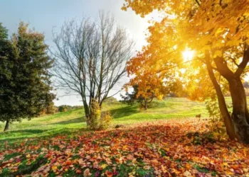 Ce dimanche  22 septembre, premier jour d'automne