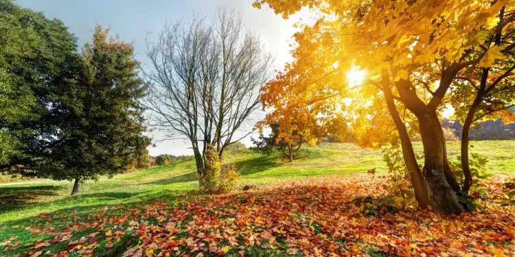 Ce dimanche  22 septembre, premier jour d'automne