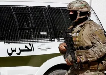 Tunisie : Arrestation de 15 takfiristes recherchés