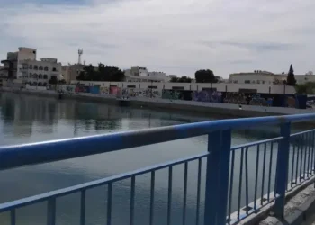 Snapshot : Le pont de Khereddine bientôt opérationnel