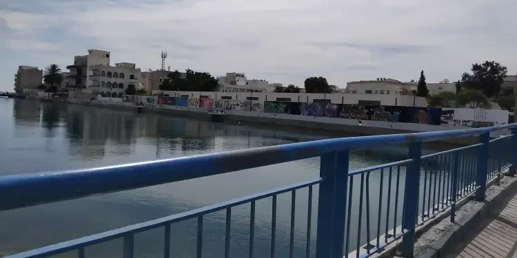 Snapshot : Le pont de Khereddine bientôt opérationnel
