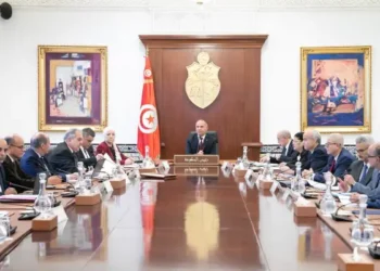 Tunisie : CM sur la modernisation des structures sportives
