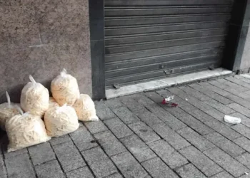 Est-ce tolérable ? Des frites à même le sol, livrées sur le trottoir !