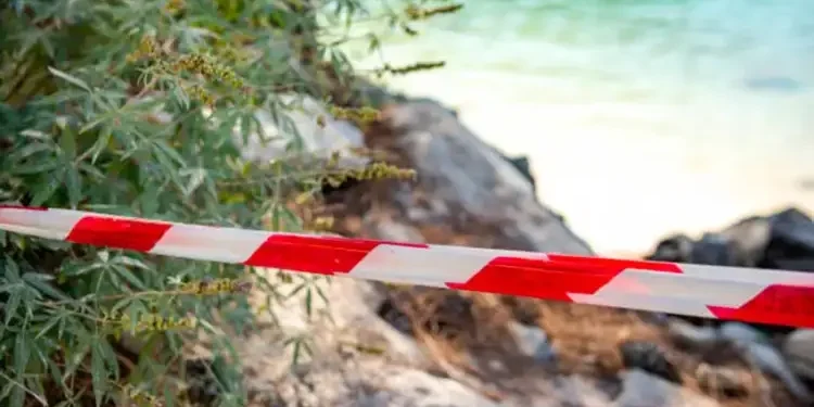 Tunisie : Des migrants louaient des appartements à 1200 dinars la semaine !