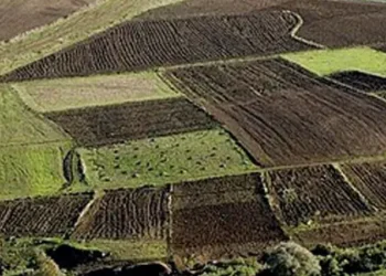Tunisie : 230.000 hectares de terres domaniales délaissés