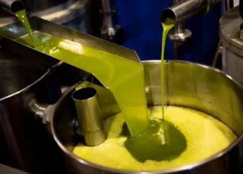 Huile d’olive : La Tunisie table sur une production de 340.000 tonnes en 2024-2025