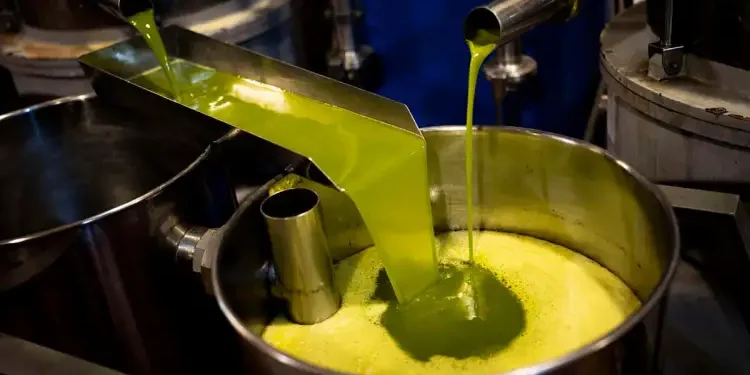 Huile d’olive : La Tunisie table sur une production de 340.000 tonnes en 2024-2025
