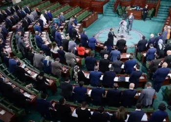 Tunisie - PLF 2025 : Le Parlement adopte un article en faveur des Tunisiens résidant à l'étranger