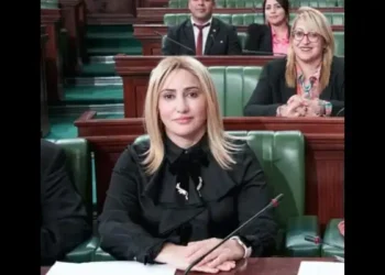 Tunisie : Une députée interpelle le président sur l'importation de pommes de terre avariées