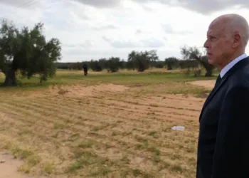 Tunisie - Domaine Chaâl : Un ancien ministre de l’Agriculture en détention