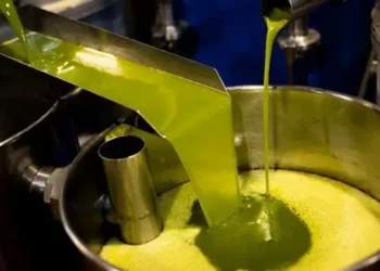 Tunisie : Le prix de l'huile d'olive en baisse