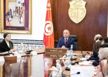 Tunisie : Un CMR approuve des mesures pour moderniser la STEG