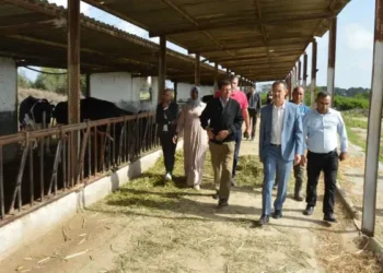 Tunisie : Le ministre de l'Agriculture en visite inopinée à l'exploitation agricole d’Enfidha