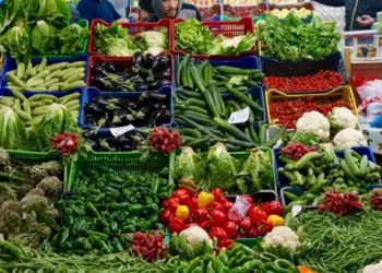 Fixation des prix : Après le poulet et le poisson… faut-il s’attendre à d’autres produits ?