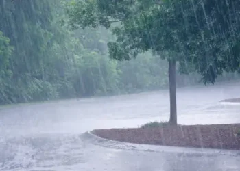 Tunisie : Pluie annoncée pour aujourd’hui