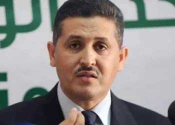 Tunisie : Imed Daïmi condamné à un an et demi de prison
