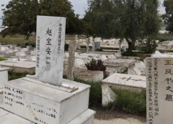 Snapshot : Tombes asiatiques à Tunis