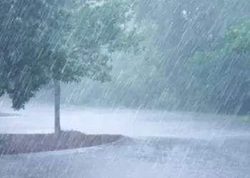 Tunisie - Météo : Pluie et  Baisse des températures pour ce dimanche