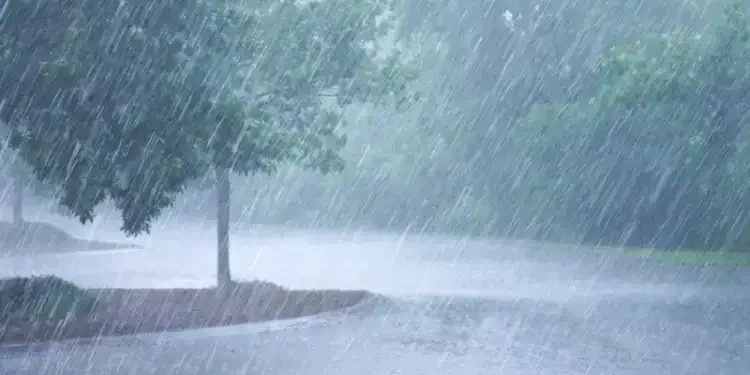 Tunisie - Météo : Pluie et  Baisse des températures pour ce dimanche