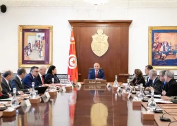 Tunisie : Approbation de deux projets pour produire 1700 MW d’énergie renouvelable