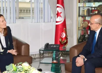 Renforcement de la coopération militaire tuniso-française