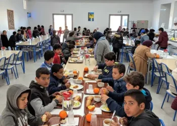 Tunisie : 25% des enfants en carence de fer