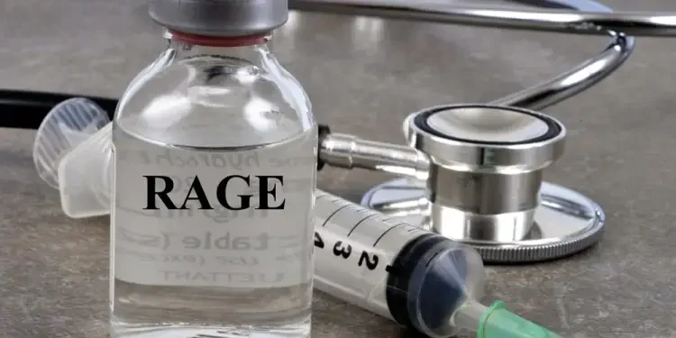 De 6 à 10 décès dus à la rage en Tunisie : Un bilan 2024 marqué par un doublement des vaccinations