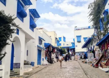 Sidi Bou Saïd en lice pour une inscription au patrimoine mondial de l’UNESCO