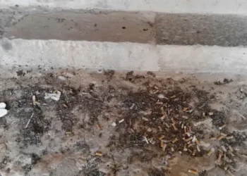 Tunisie - Snapshot : Mégots et incivilités à l'amphithéâtre d'El Djem
