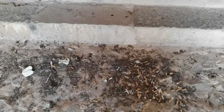 Tunisie - Snapshot : Mégots et incivilités à l'amphithéâtre d'El Djem