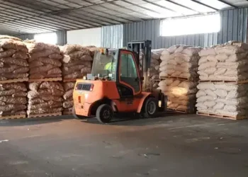 Patates turques détruites : la polémique de l’importation en Tunisie prend fin