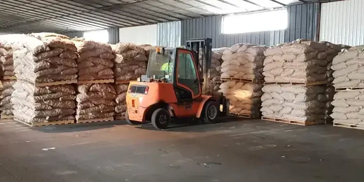 Patates turques détruites : la polémique de l’importation en Tunisie prend fin