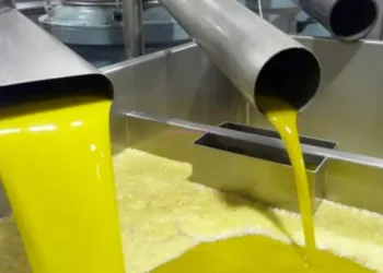 Huile d’olive : La Tunisie s’active pour conquérir de nouveaux marchés