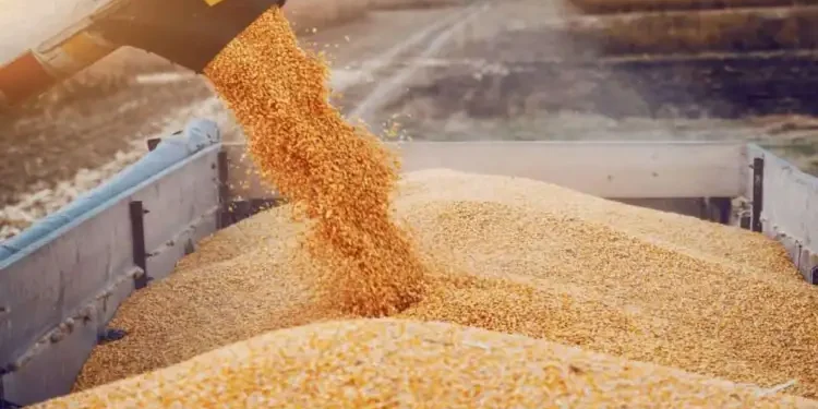 Le commerce agricole entre la Russie et la Tunisie en hausse de 30% en 2024