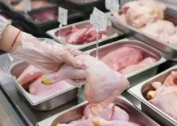 Tunisie : Accord pour maintenir les prix de la volaille plafonnés durant le Ramadan
