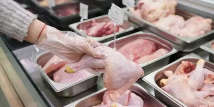 Tunisie : Accord pour maintenir les prix de la volaille plafonnés durant le Ramadan