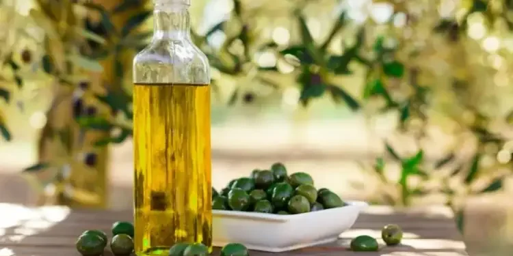 Tunisie : Un scandale de fraude massive ébranle l’industrie de l’huile d’olive en Méditerranée