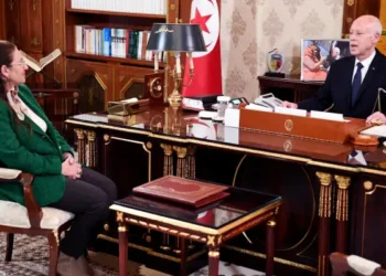 Tunisie : Kaïs Saïed annonce de nouvelles mesures pour la gestion des biens confisqués