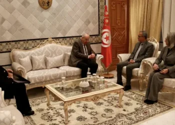 Tunisie-Russie : vers une coopération accrue dans les domaines commercial, scientifique et culturel