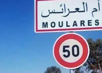 Tunisie : Grève générale à Om Laârayes ce jeudi 20 février