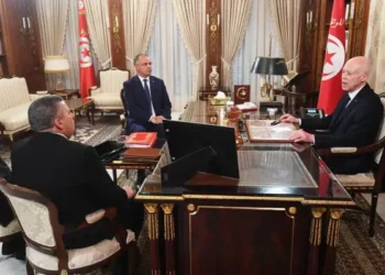 Tunisie : Kais Saied appelle à des solutions équitables au profit des docteurs au chômage