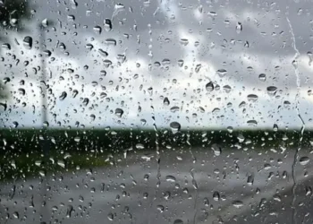 Tunisie - Aïd sous la pluie et le froid : Quand mars se prend pour janvier !