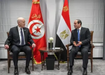 Gaza : La Tunisie soutient le ‘plan arabe’, selon l’Egypte