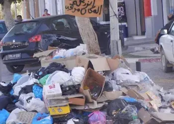 Tunisie - ARP : Une séance plénière dédiée aux enjeux environnementaux